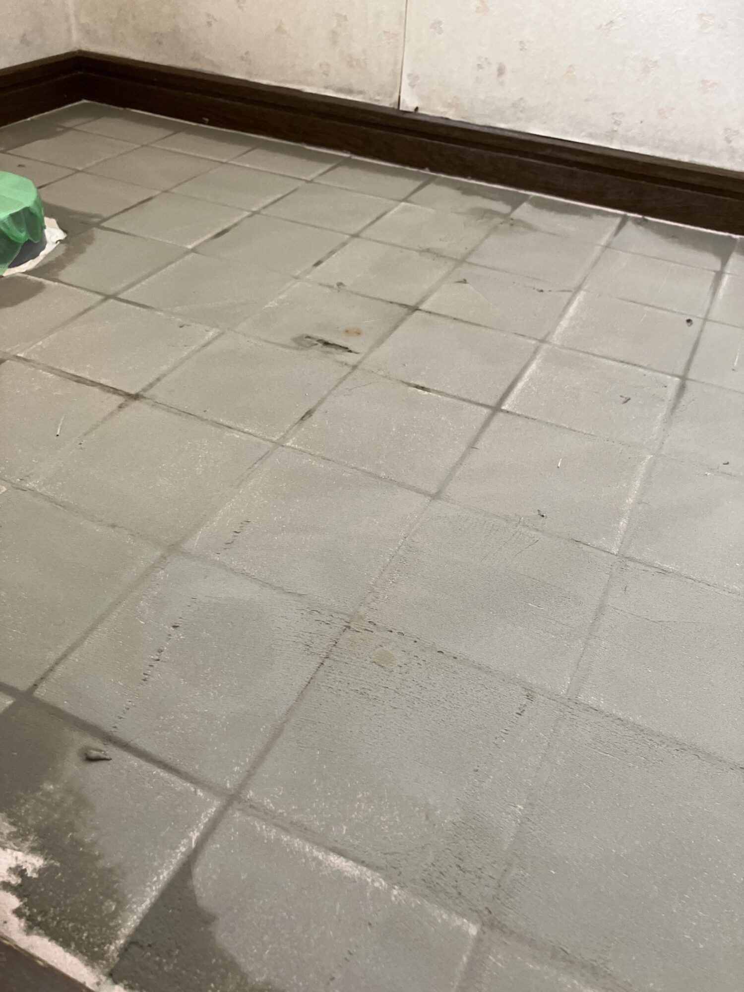 トイレの床が変わるまで＊